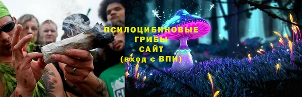 мяу мяу мука Алзамай